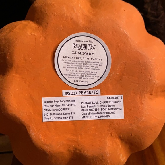 Pottery Barn Kids Charlie Brown Peanuts Pumpkin Luminary Rare 2017 Collection🎃 - Picture 13 of 17